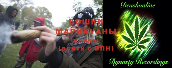 ГАЛЛЮЦИНОГЕННЫЕ ГРИБЫ Белоозёрский