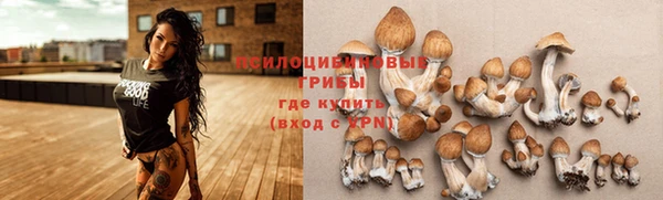 МДМА Богородицк