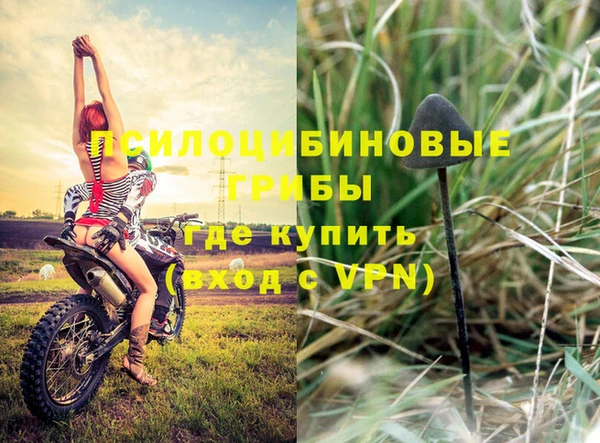 гашишное масло Беломорск