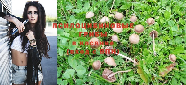 МДМА Богородицк
