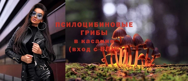 ГАЛЛЮЦИНОГЕННЫЕ ГРИБЫ Белоозёрский