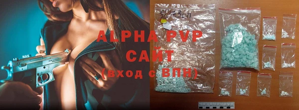 прущие крисы Белокуриха