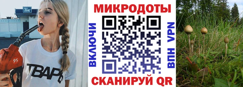 Псилоцибиновые грибы GOLDEN TEACHER  Облучье 
