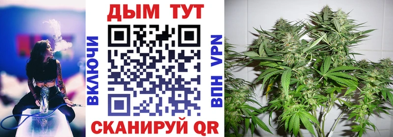 omg tor Облучье Конопля VHQ